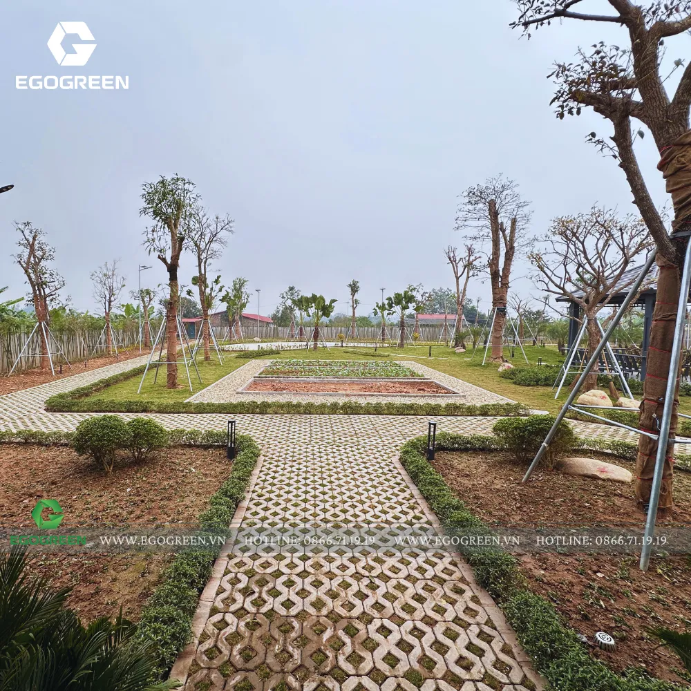 Vườn rau cùng khung cảnh xanh rộng mở ra trước tầm nhìn từ nhà nghỉ dưỡng.